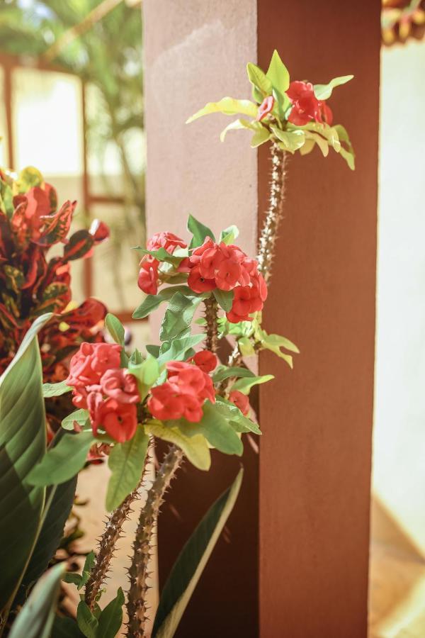 Casa Saab Aparthotel ปลายาเดลการ์เมน ภายนอก รูปภาพ